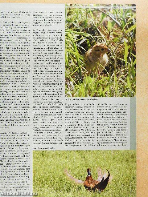 Hunor Vadászmagazin 2021/3.