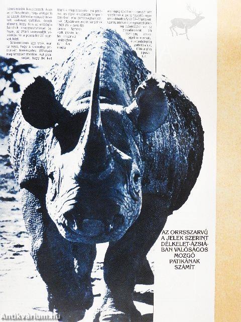 Hunor Vadászmagazin 1990. január