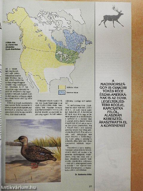 Hunor Vadászmagazin 1990. január