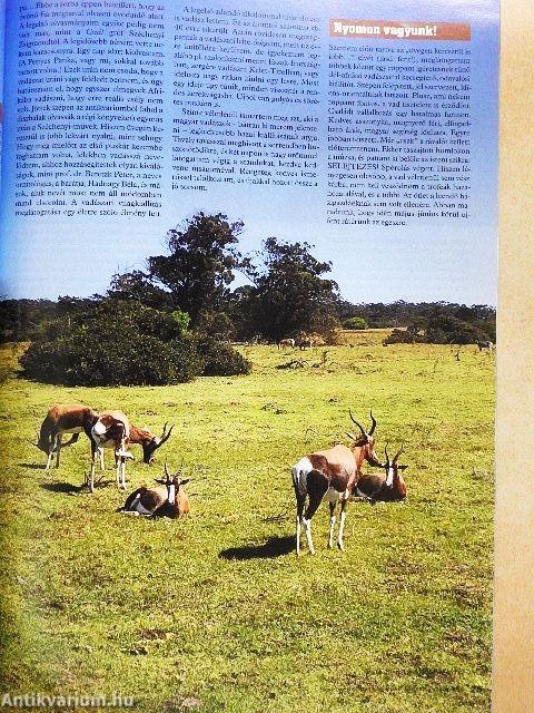 Nimród Safari 2019/2.