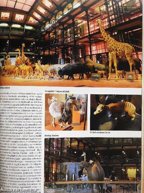 Nimród Safari 2017/1.