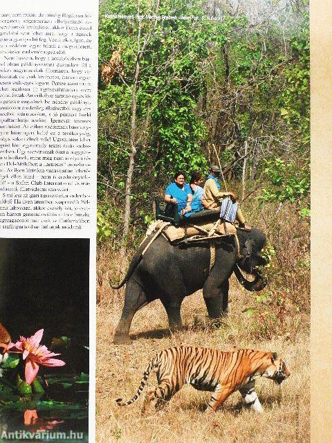 Nimród Safari 2007. június