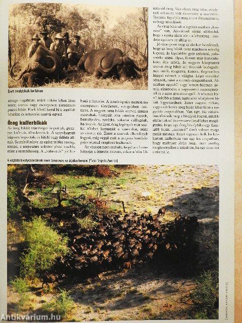 Nimród Safari 2007. június