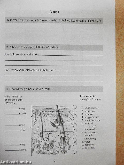 Biológia 8. munkafüzet