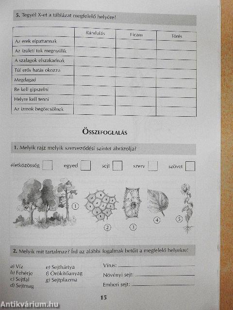 Biológia 8. munkafüzet