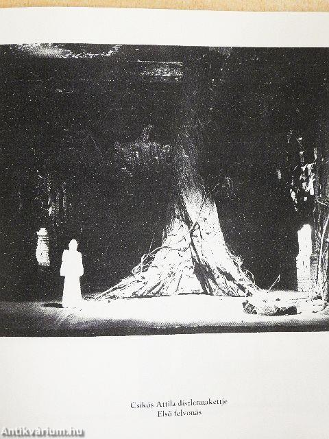 Richard Wagner: A Walkür