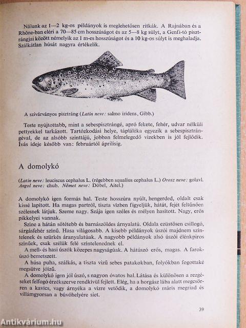 A horgászat kézikönyve