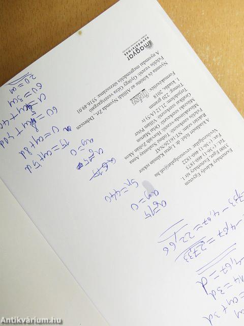 Matematika - Gyakorló és érettségire felkészítő feladatgyűjtemény II. - CD-vel