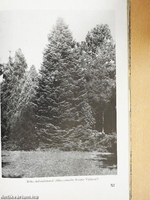 A szarvasi arborétum