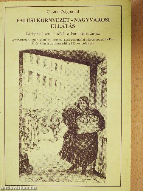 Falusi környezet - nagyvárosi ellátás