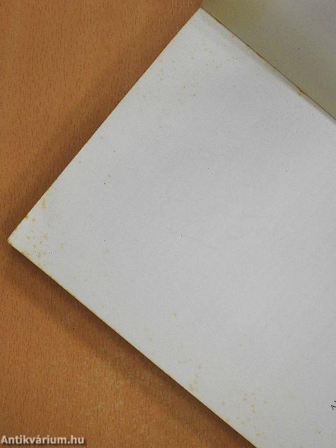 Falusi környezet - nagyvárosi ellátás