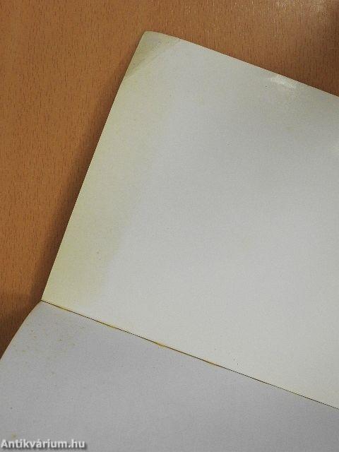 Falusi környezet - nagyvárosi ellátás