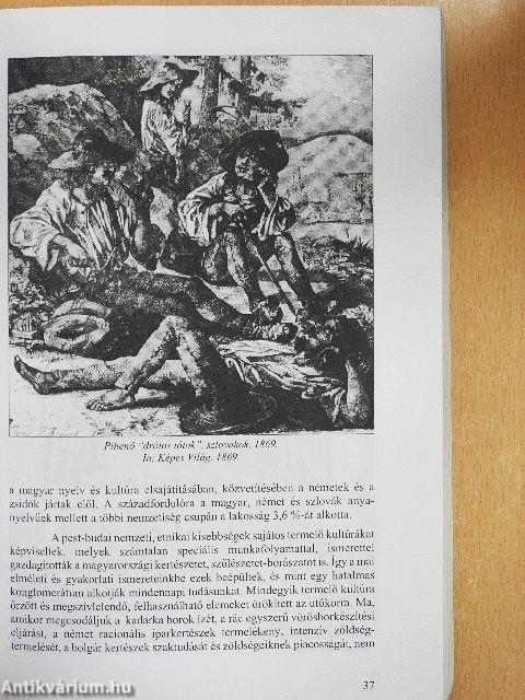 Falusi környezet - nagyvárosi ellátás