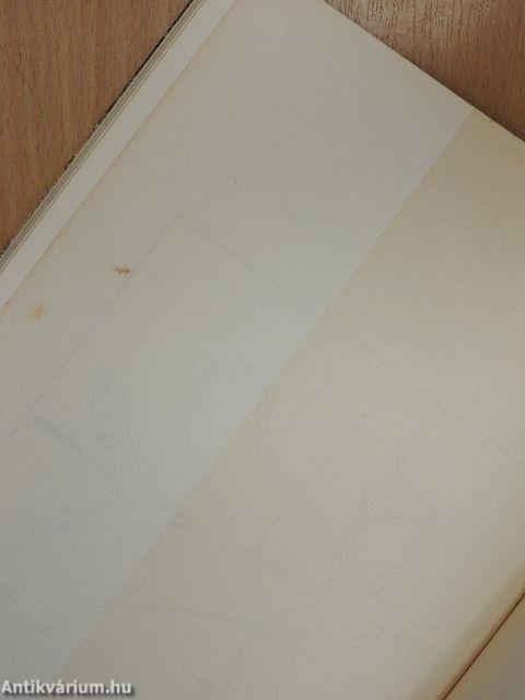 A szarvasi arborétum