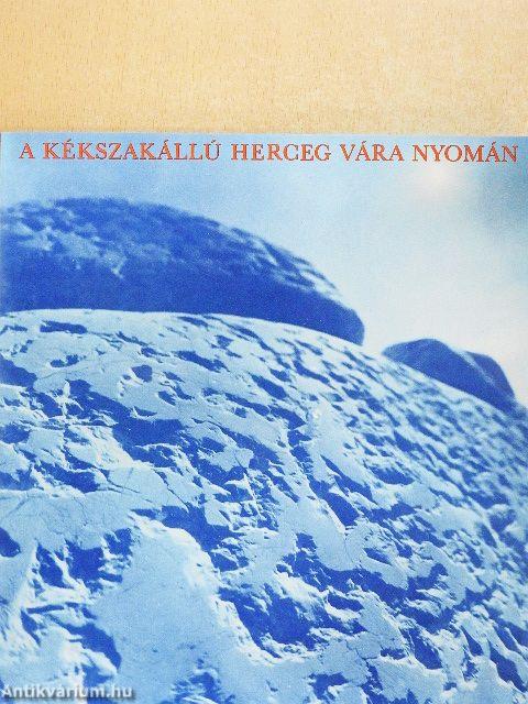 Változatok Bartók színpadi műveire I-III.