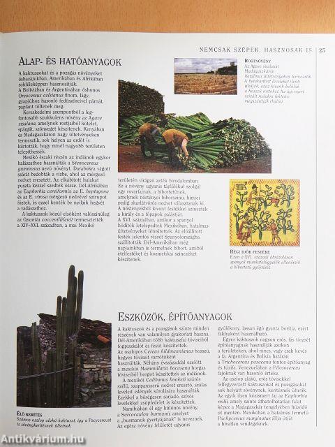 Kaktuszok és pozsgások