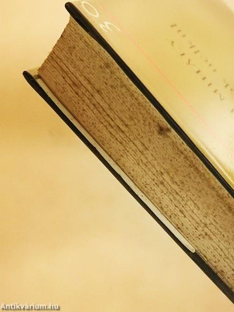 Hit, illúziók nélkül