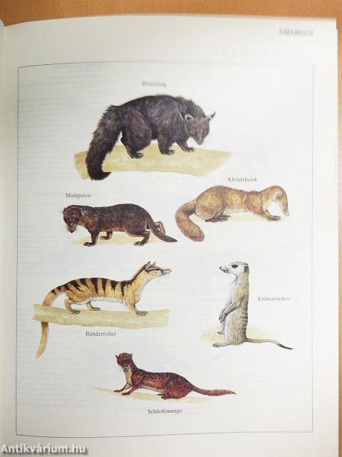 Das grosse Weltreich der Tiere