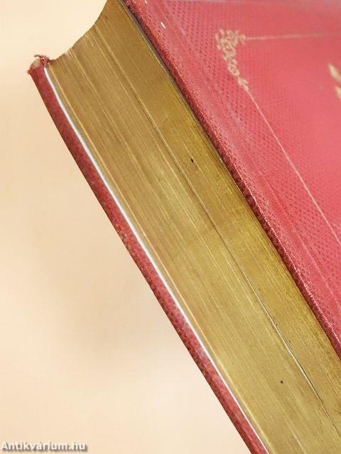 Der Papst und die modernen Ideen I-V./Die Theologie der Schule