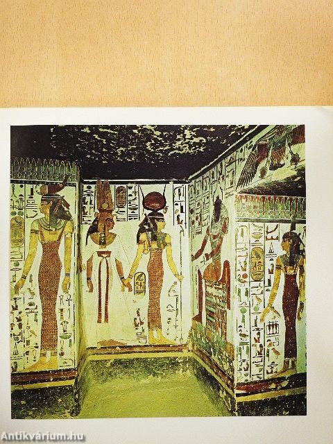 Miért fest az ember