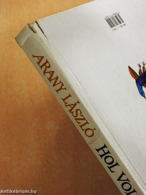 Hol volt, hol nem volt