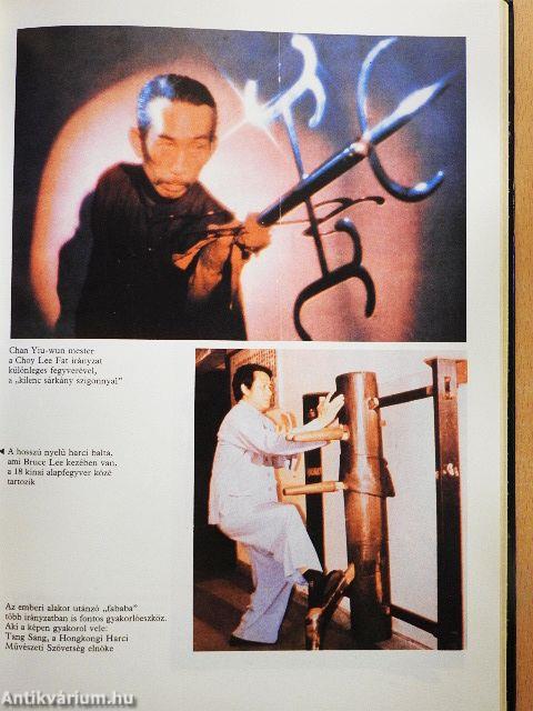 A délkelet-ázsiai harci művészetek