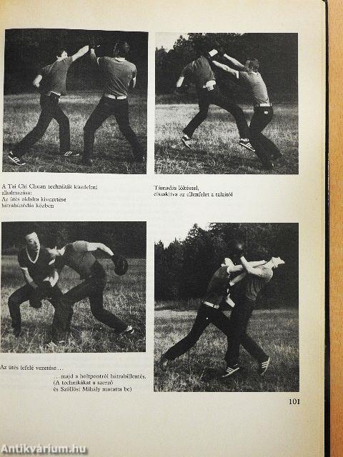 A délkelet-ázsiai harci művészetek