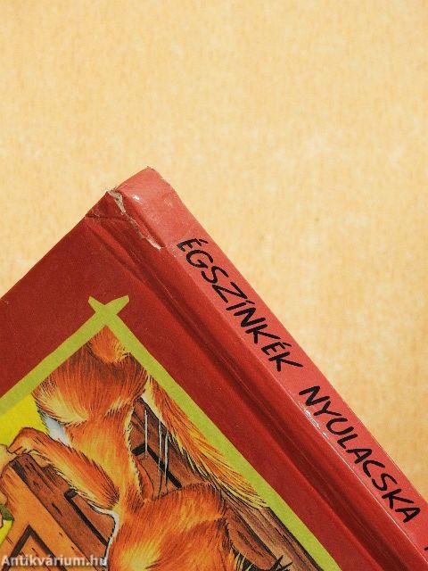 Égszínkék nyulacska iskolába jár