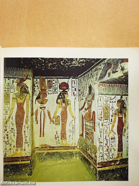 Miért fest az ember