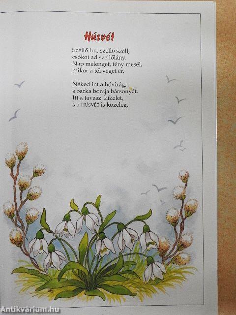 Szia, szia, jó napot!