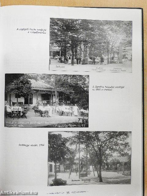 Hegyvidéki fotográfiák