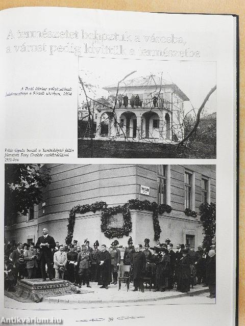 Hegyvidéki fotográfiák