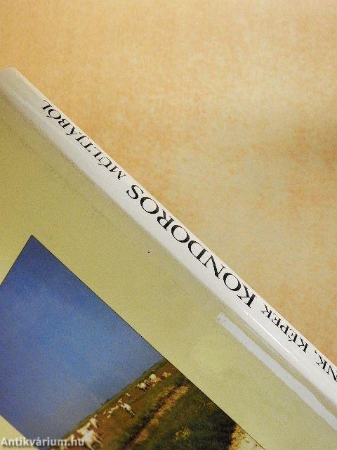 Gyökereink, képek Kondoros múltjából