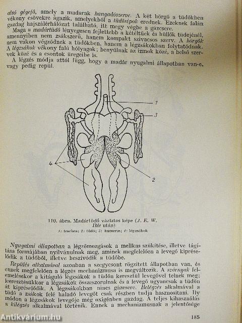 Biológiai gyakorlatok