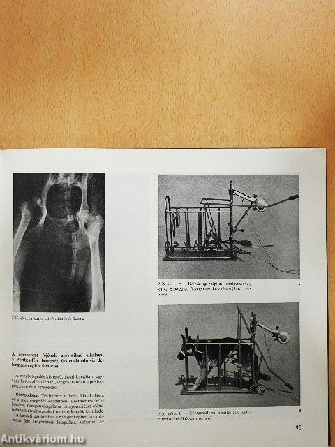 Állatorvosi röntgendiagnosztika