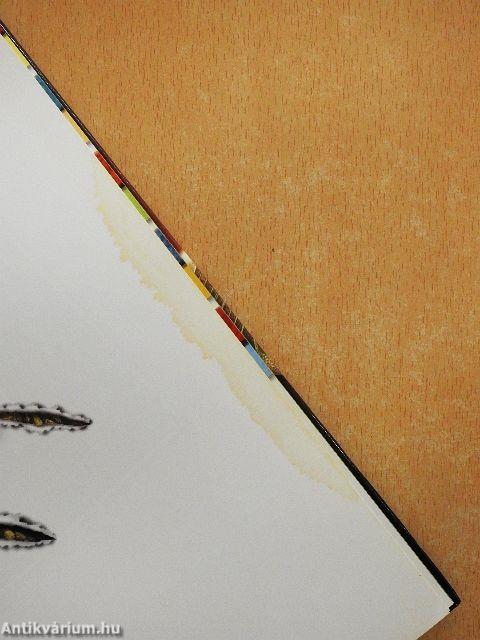 Dinoszauruszok bolygója