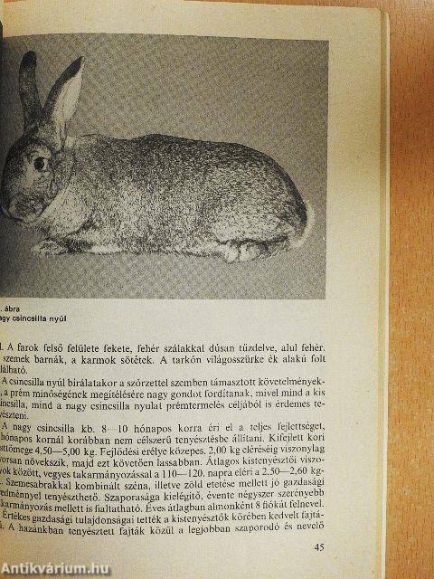 Nyúlhústermelés a kisgazdaságban