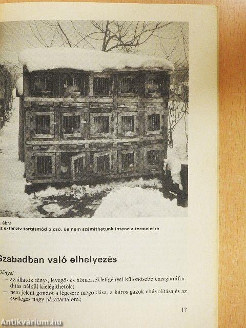 Nyúlhústermelés a kisgazdaságban