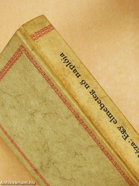 Egy elmebeteg nő naplója