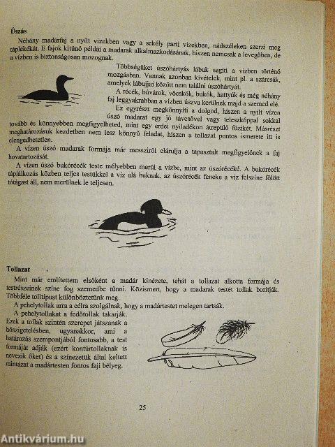 Madarak és madarászok