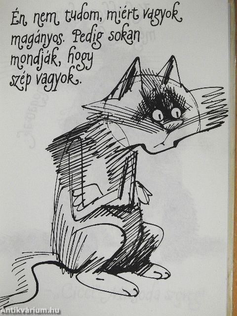 Kandúrhatnámságok