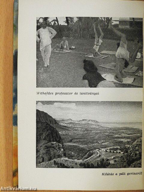 Tűzistennő Hawaiiban