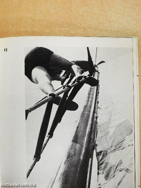 Moholy-Nagy László munkássága