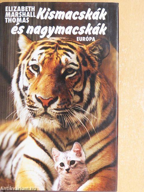 Kismacskák és nagymacskák