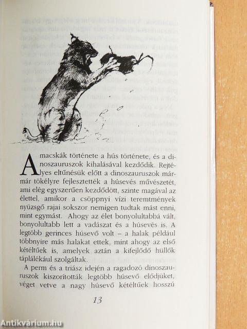 Kismacskák és nagymacskák