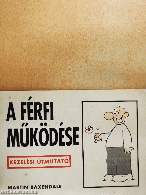 A férfi működése