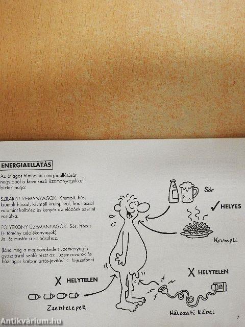 A férfi működése