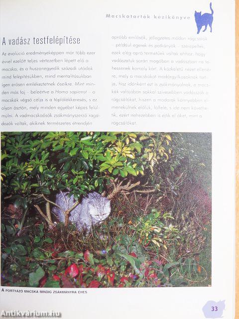 Macskatartók kézikönyve