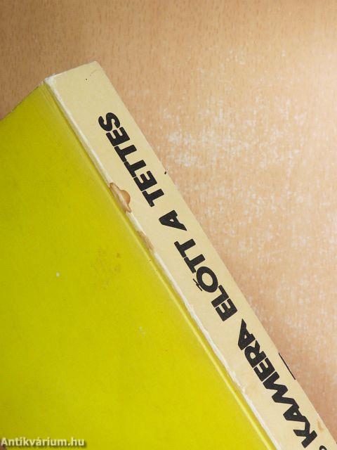 Kamera előtt a tettes