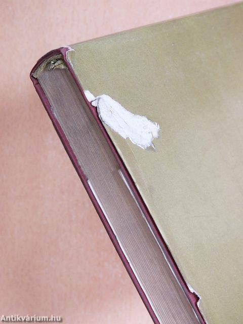 Egy fogadó lelkivilága